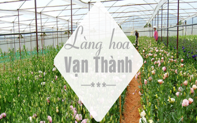 Làng Hoa Vạn Thành Đà Lạt
