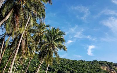 5 hòn đảo lý tưởng để nghỉ hè ở Kiên Giang