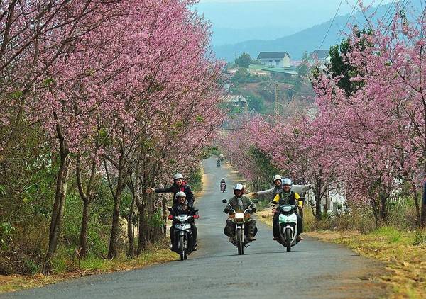 Du lịch Đà Lạt – cẩm nang du lịch đà lạt - hinh 18