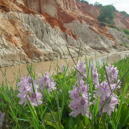 Du lịch Phan Thiết: Cẩm nang từ A đến Z - hinh 42