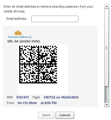 How To Check-in Online with Vietnam Airlines, Vietjet and Jetstar _ hinh 6