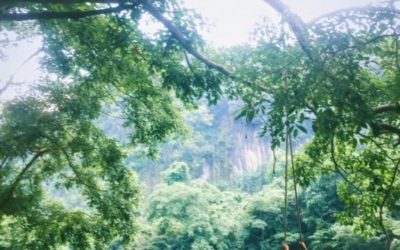 Quảng Bình – thiên đường xanh ngắt của Việt Nam