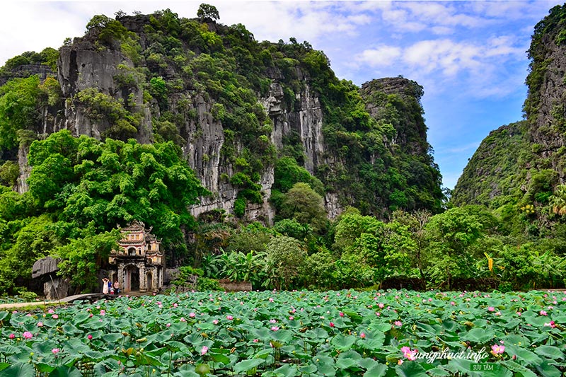 Bích Động - hinh 2