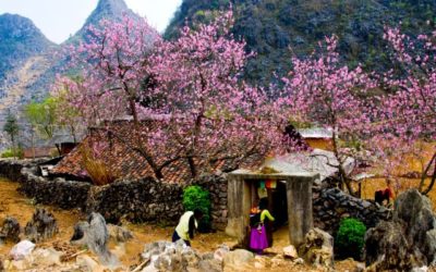 Cao nguyên đá Đồng Văn vẻ đẹp hùng vĩ