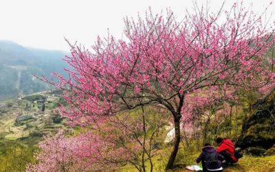 Tết Nguyên đán này du lịch tìm về nơi đá nở hoa