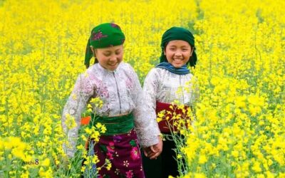 Mùa hoa nở rực rỡ trên vùng đất đá Hà Giang