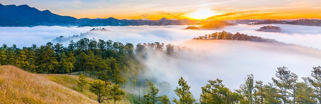 Da Lat Travel Guide from A to Z